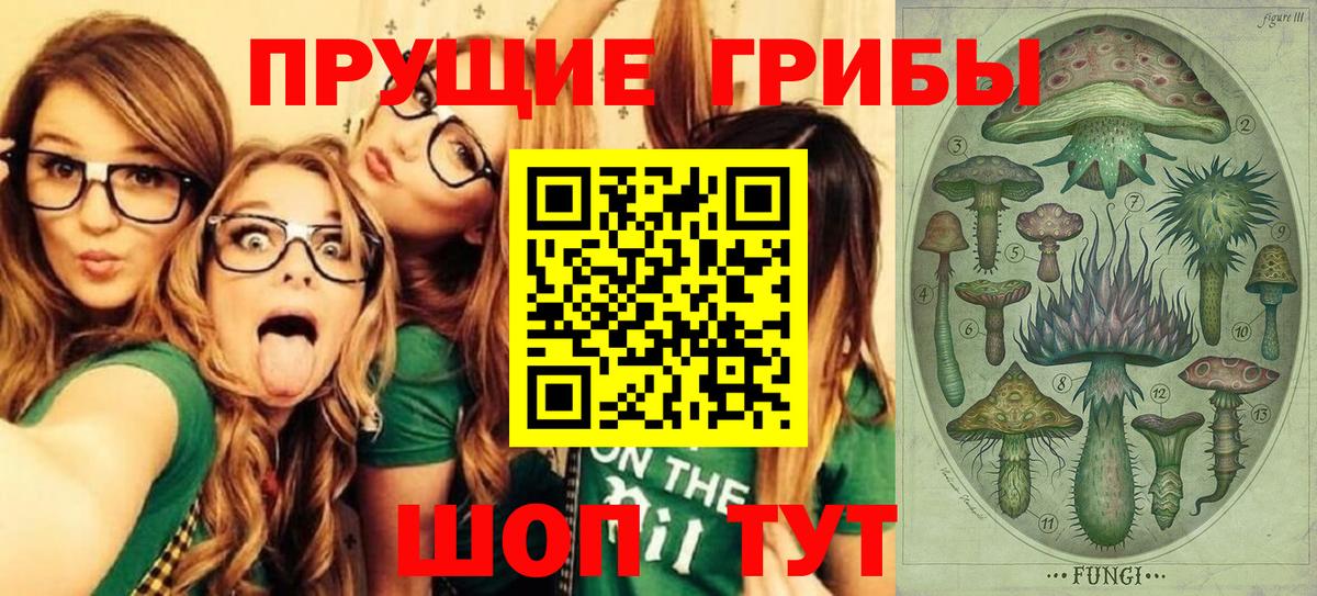что такое   Галлюциногенные грибы MAGIC MUSHROOMS  Вход с VPN  Усинск  Псилоцибиновые грибы GOLDEN TEACHER 